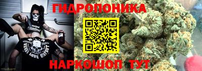 гашик Кулебаки