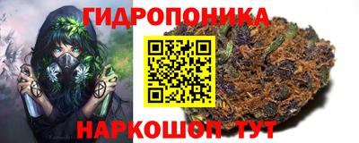 гашик Кулебаки